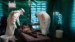 Ébola: son 84 los muertos en Guinea Conakry - Noticias de sin fronteras