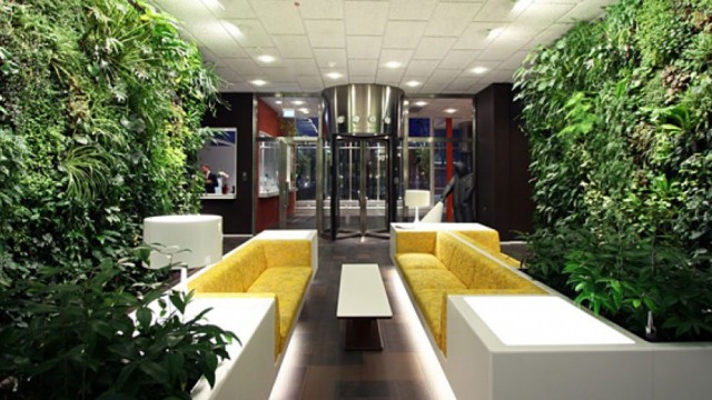 5 ideas para tu jardín interior
